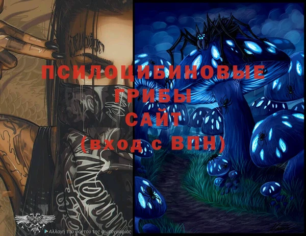 таблы Каменногорск
