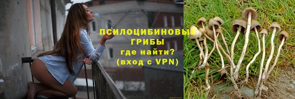 таблы Каменногорск