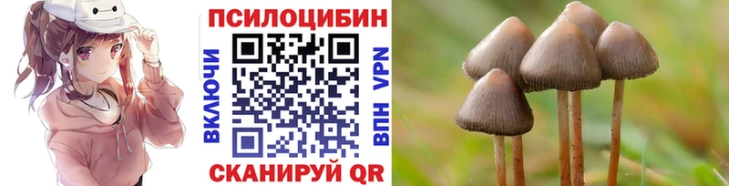 Купить закладки  Тарко-Сале  Галлюциногенные грибы Cubensis 