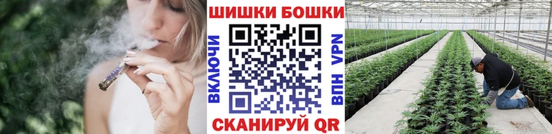 Купить закладки  Тарко-Сале  Марихуана индика 